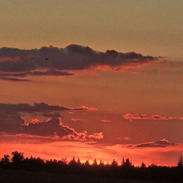 Prévisions météo avec de superbes photos de KatreKal