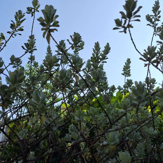 Pole. Weather forecasts with beautiful photos by Wen-ya Huang Photos in Kaohsiung City