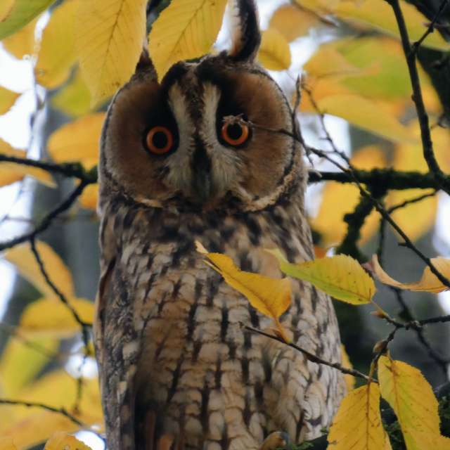 Прогнозы погоды с чудесными фотографиями, сделанными fwerner