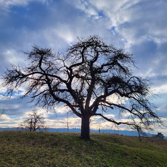 aida-khaldiの美しい写真による天気予報