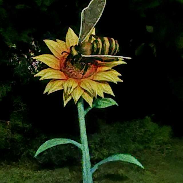 Прогнозы погоды с чудесными фотографиями, сделанными schimi