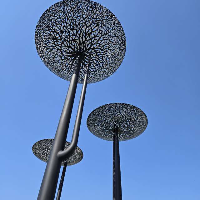 Prévisions météo avec de superbes photos de Jessica_A