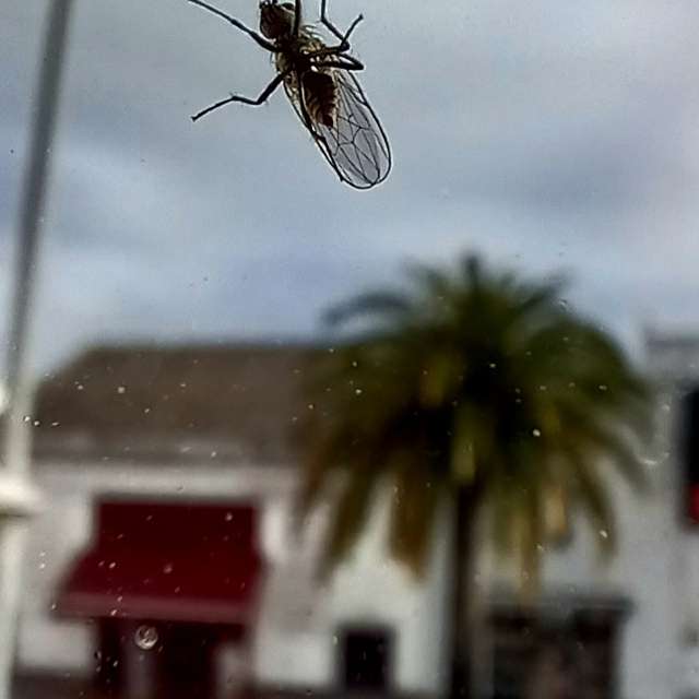 Weather forecasts with beautiful photos by MOR