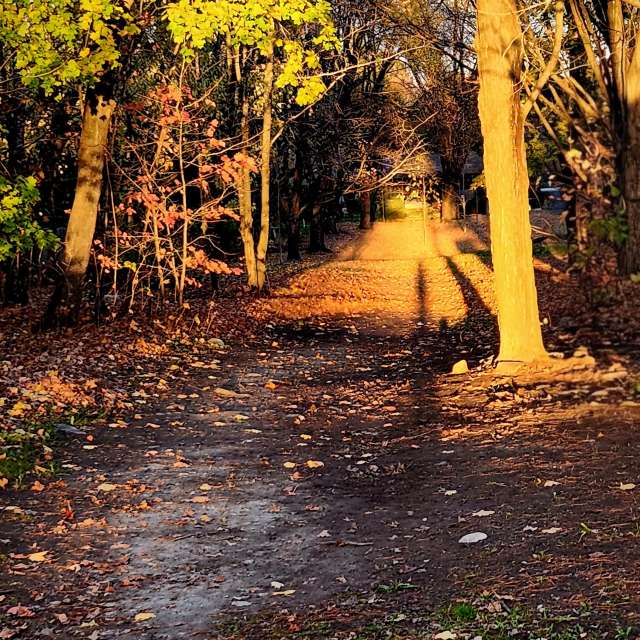 Wettervorhersagen mit schönen Fotos von KevinG