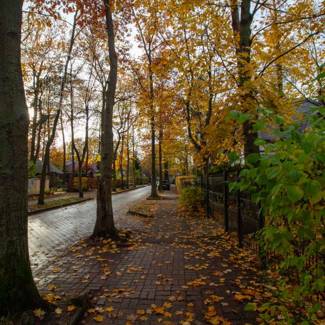 俄罗斯的天气照片. 天气预报，带vintilator精美的照片