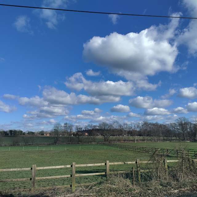 Standing. Weather forecasts with beautiful photos by Petewhites Photos in Lyne Lane