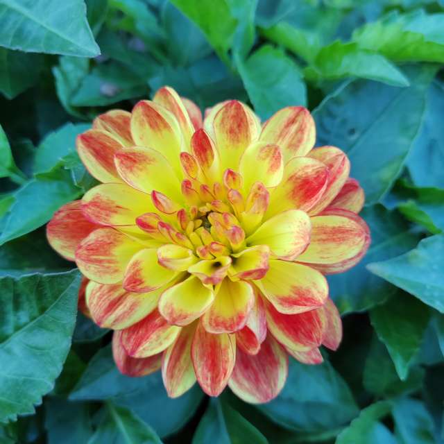 Wettervorhersagen mit schönen Fotos von Albert_Smelovtsev