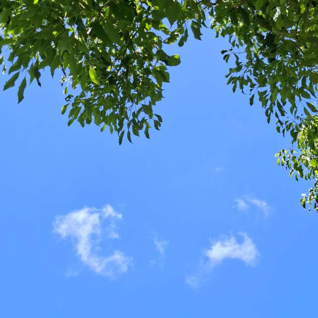 Photos Cerf-volant. Prévisions météo avec de superbes photos de Wen-ya Huang de Kaohsiung