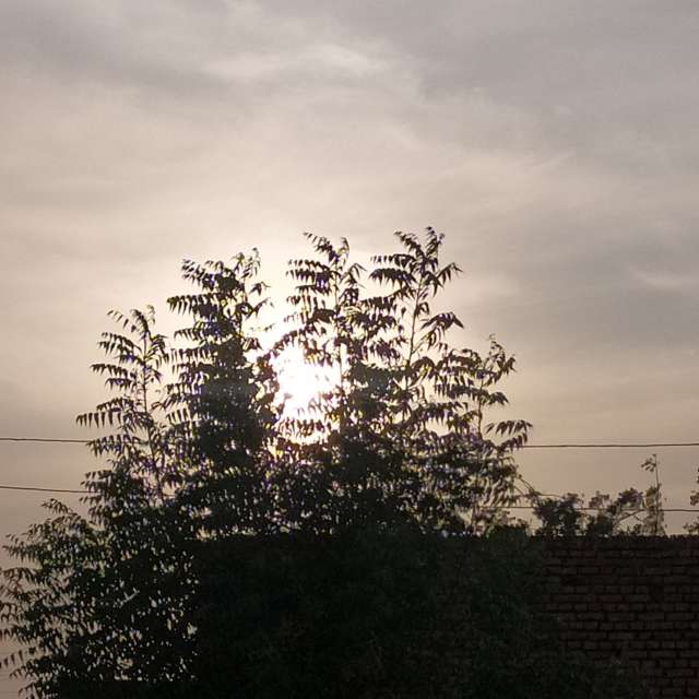 Прогнозы погоды с чудесными фотографиями, сделанными Mashaer