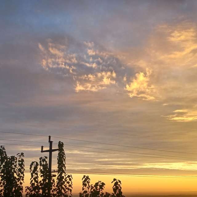 天气预报，带Boban精美的照片