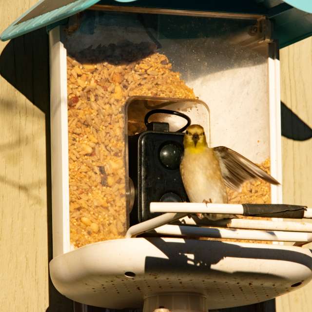 Прогнозы погоды с чудесными фотографиями, сделанными krantzjh