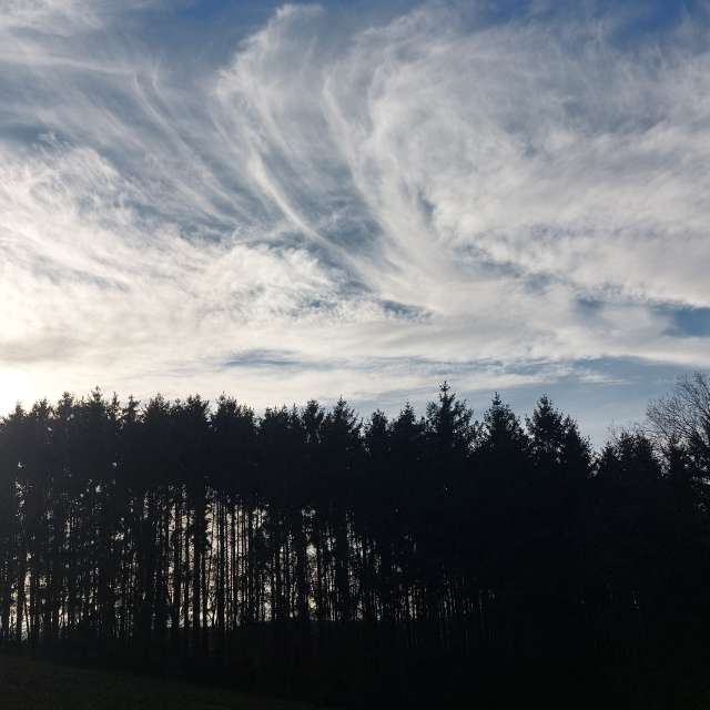 天气预报，带MaLou精美的照片