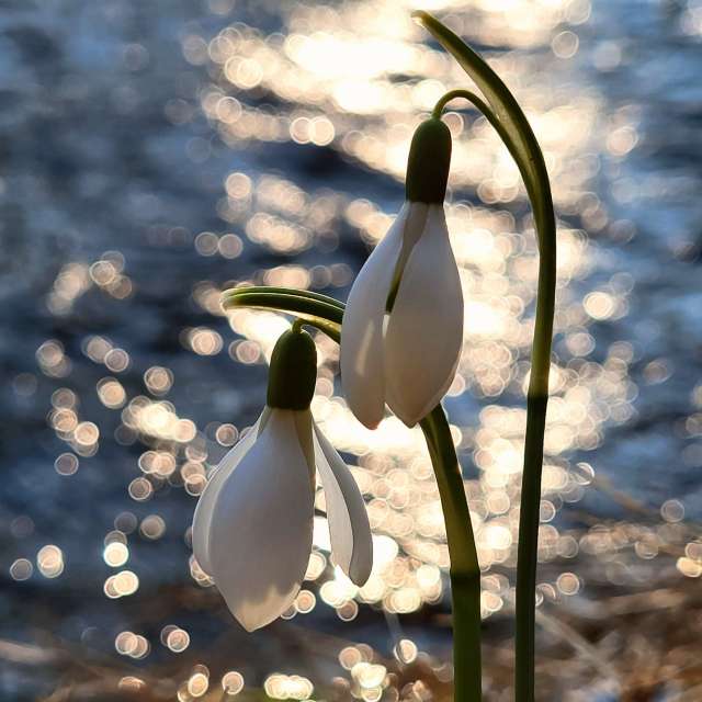 Prévisions météo avec de superbes photos de hejpetrpepa