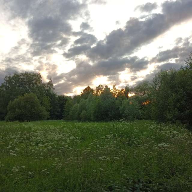 Grazing. Weather forecasts with beautiful photos by Amanda_and_Valdemar_Che Photos in Izmaylovo District