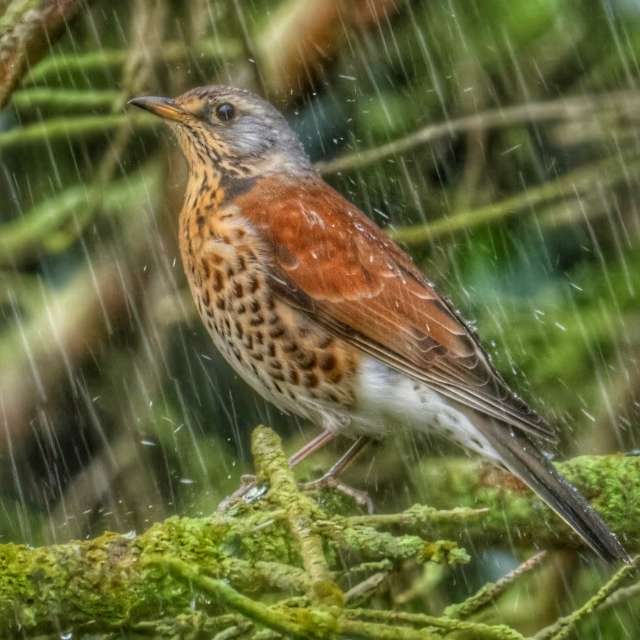Wettervorhersagen mit schönen Fotos von Lotti5507