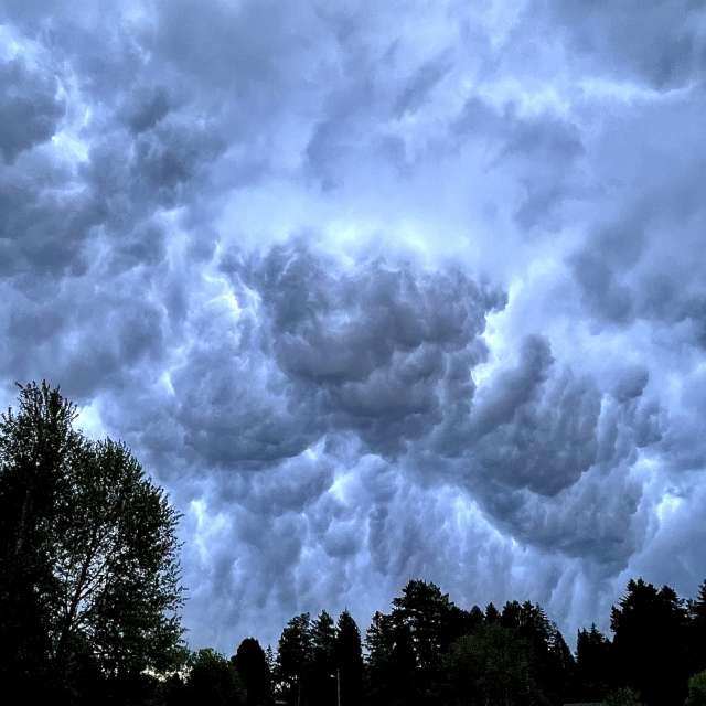 Wettervorhersagen mit schönen Fotos von Dmitry8