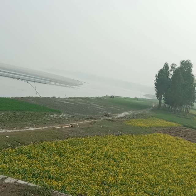 天气预报，带MD Shawkat Ali Khan精美的照片