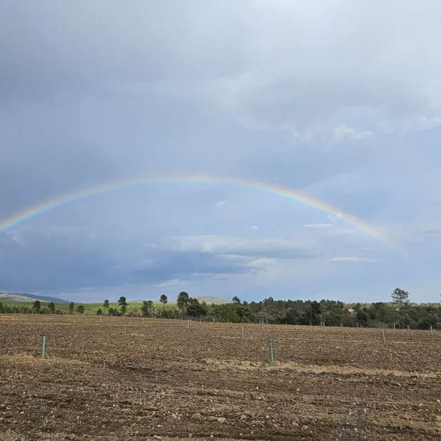 Wettervorhersagen mit schönen Fotos von ILIE