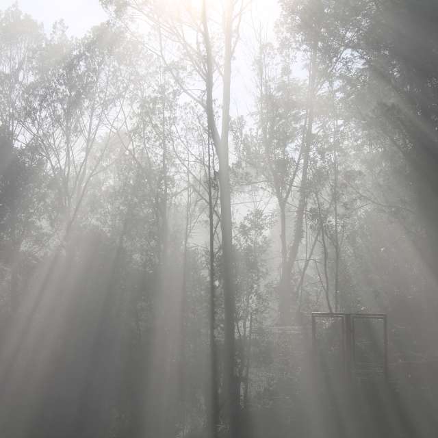 Weather forecasts with beautiful photos by neconobre