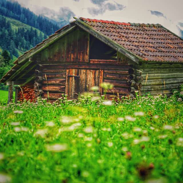Weather forecasts with beautiful photos by deine_augenblicke_tirol
