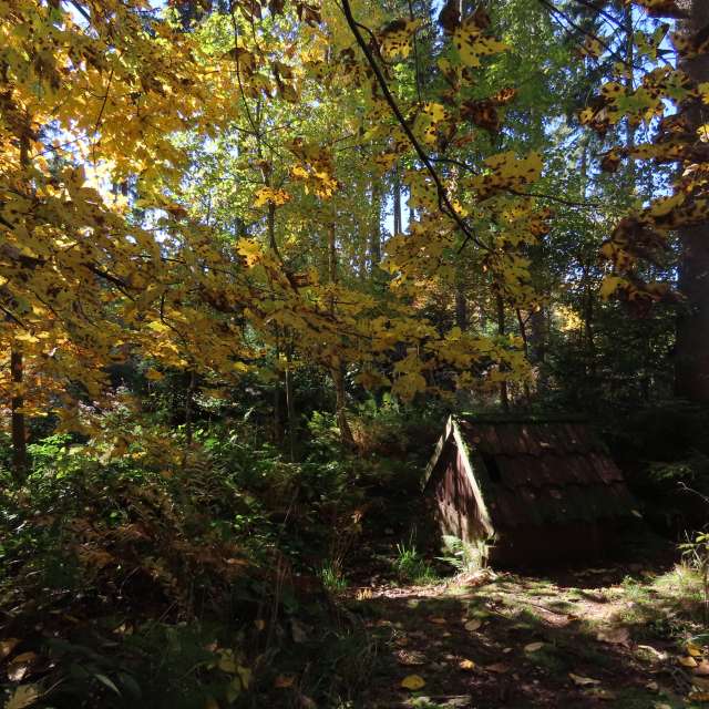 天气预报，带Sviatoslav精美的照片