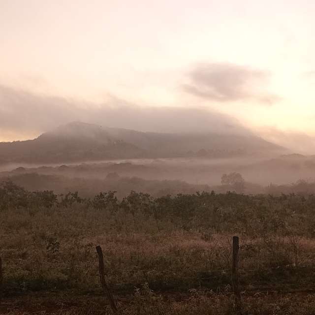Pasture. Weather forecasts with beautiful photos by Almir Cavalcante Photos in World