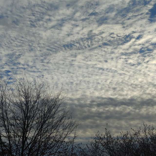 Prévisions météo avec de superbes photos de AlaGibki