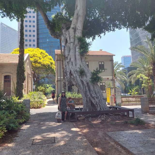 Prévisions météo avec de superbes photos de InnaMoon