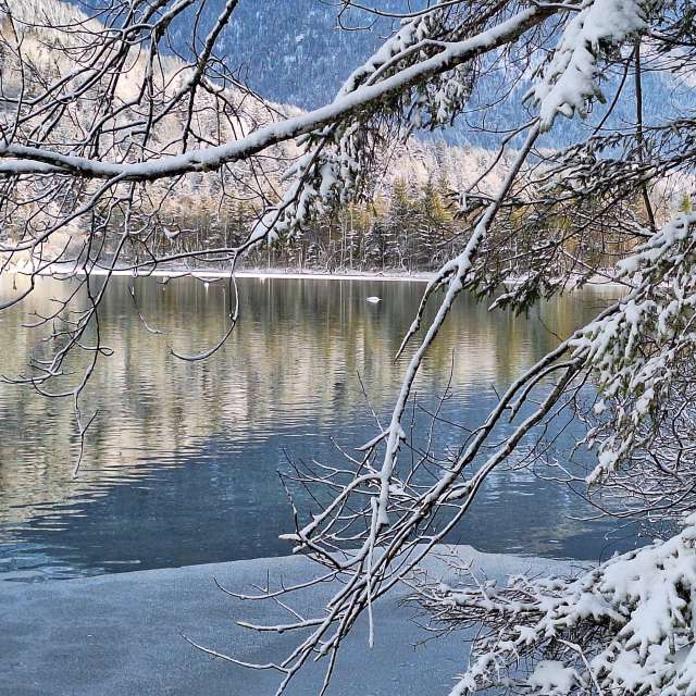 Cold. Weather forecasts with beautiful photos by michilive Photos in World