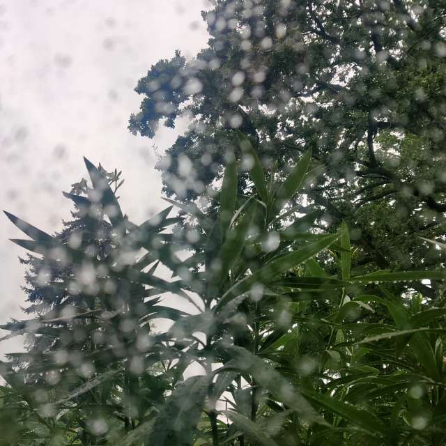 Fotos Janela. Previsões do tempo com lindas fotos de Zorrra em Kladow