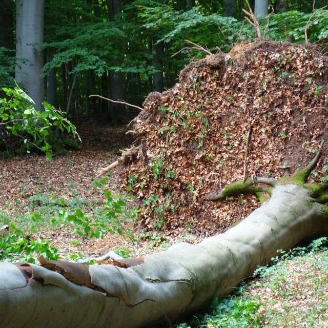 Weather forecasts with beautiful photos by steve2025s