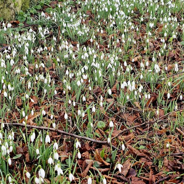 Previsões do tempo com lindas fotos de Greenbroker