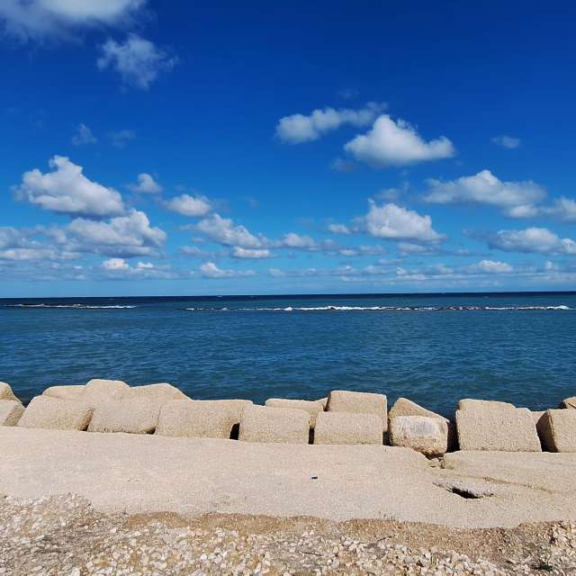 Previsões do tempo com lindas fotos de Silvesoft