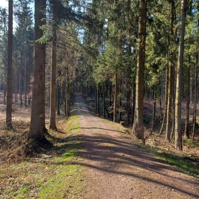 Fotos Trilho. Previsões do tempo com lindas fotos de Kastramania em Freiberga