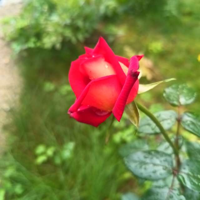Sitzung. Wettervorhersagen mit schönen Fotos von Kripo Fotos Ladek Zdroj