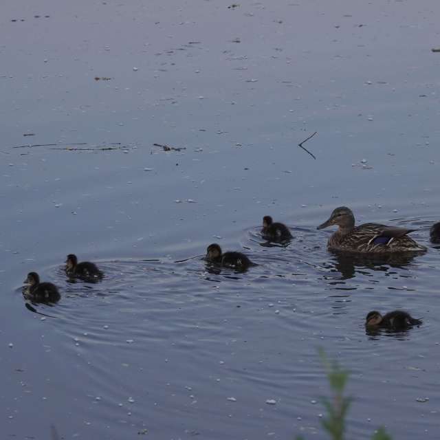 Fotos Rio. Previsões do tempo com lindas fotos de Vasek325 em Praha 12