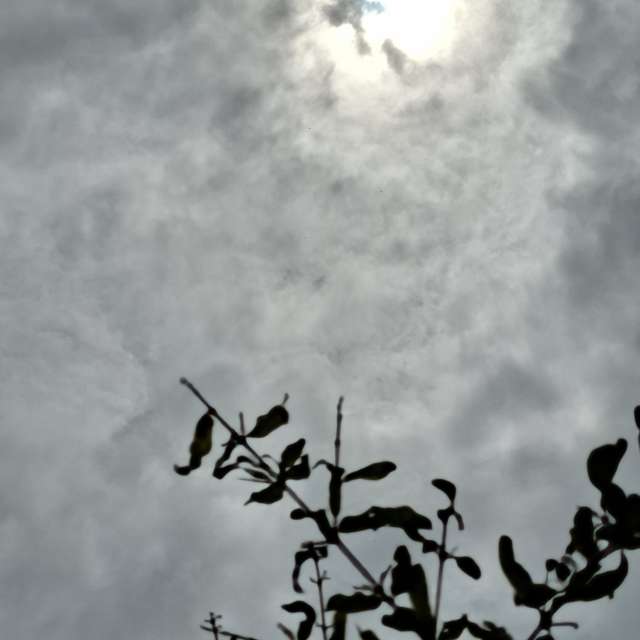 Photos Tour. Prévisions météo avec de superbes photos de Wen-ya Huang de Kaohsiung