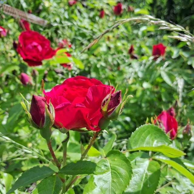 Weather forecasts with beautiful photos by urashm