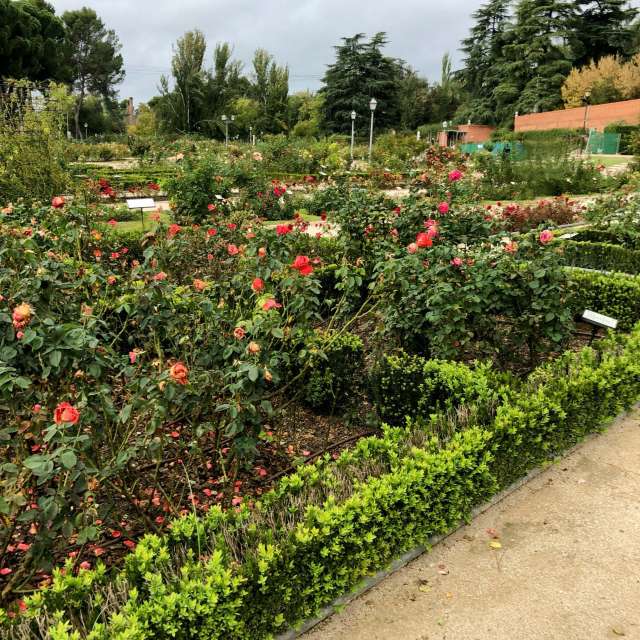 Parked. Weather forecasts with beautiful photos by Lulu5523 Photos in Madrid