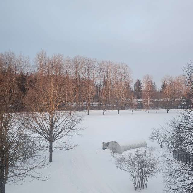 Pronósticos del tiempo con hermosas fotos de Sandra Bokisha