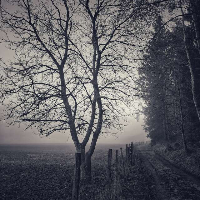 Cloudy. Weather forecasts with beautiful photos by Asarii Photos in Villach