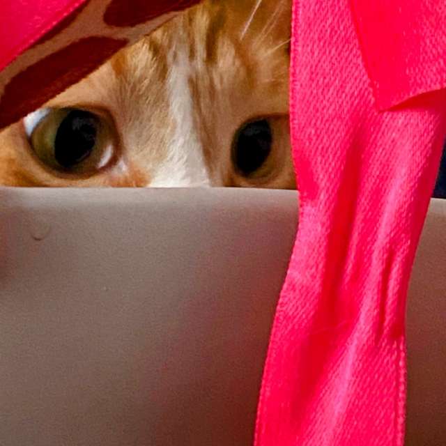 Pronósticos del tiempo con hermosas fotos de Lulu5523