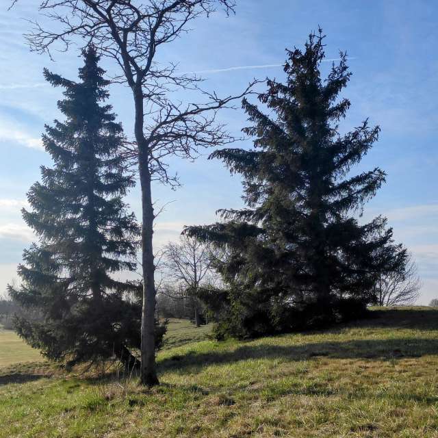 Offen. Wettervorhersagen mit schönen Fotos von Kripo Fotos Niederösterreich
