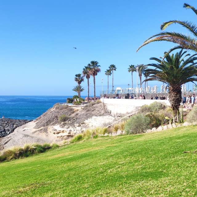 Prévisions météo avec de superbes photos de newgen