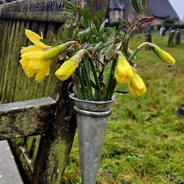 Previsões do tempo com lindas fotos de Greenbroker