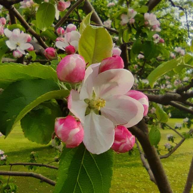 Pronósticos del tiempo con hermosas fotos de Maryous