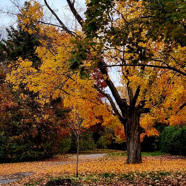 Weather. Wettervorhersagen mit schönen Fotos von KevinG Fotos Kanata Avenue