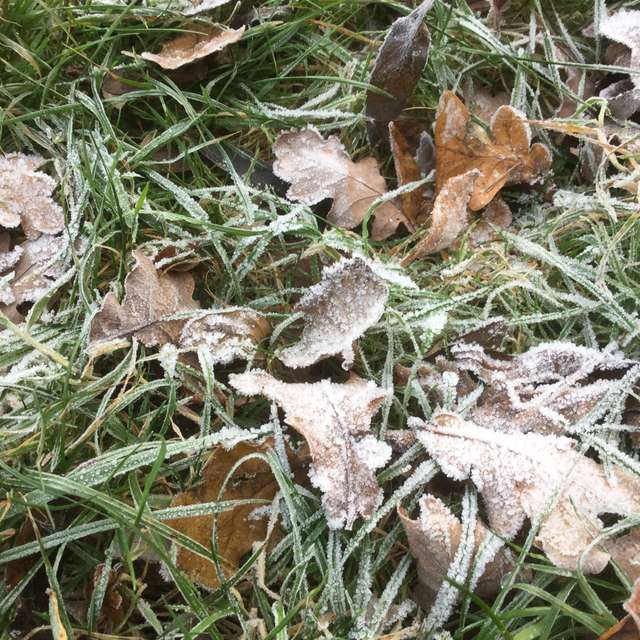 Sitzung. Wettervorhersagen mit schönen Fotos von 幸前光紀 Fotos City of London