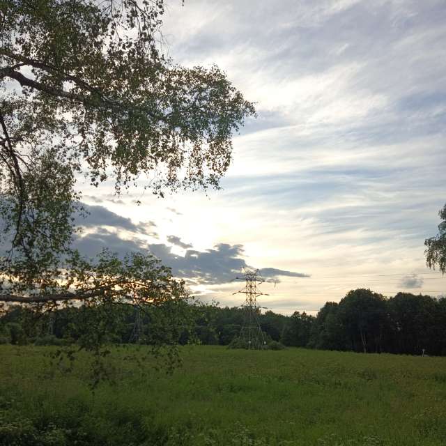 Pasture. Weather forecasts with beautiful photos by Amanda_and_Valdemar_Che Photos in Izmaylovo District