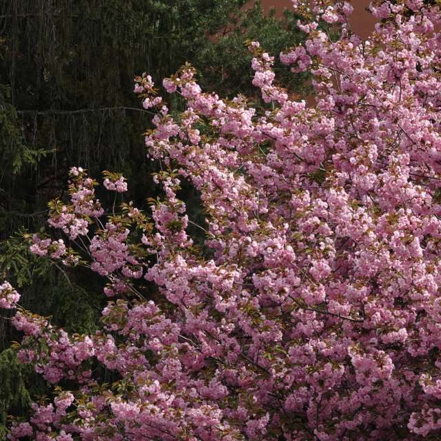 Fotos Abordado. Previsões do tempo com lindas fotos de Vasek325 em Praha 4